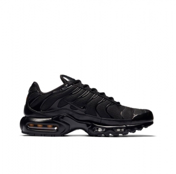 Nike Air Max Plus (604133-050)