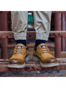 Ботинки уличные мужские Dickies223M50LXS02D棕色