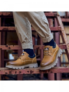 Ботинки уличные мужские Dickies223M50LXS02D棕色