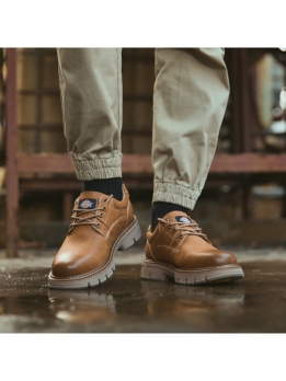 Ботинки рабочие мужские Dickies 6970286558707223M50LXS01D棕色