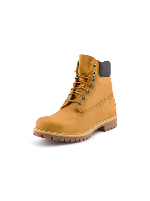 Ботинки мужские водонепроницаемые Timberland Premium 6 Inch 196249898758A655H