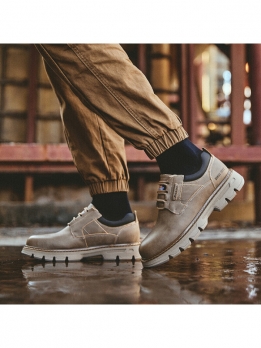 Ботинки низкие мужские для прогулок Dickies 41223M50LXS02B卡其