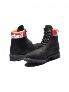 Ботинки водонепроницаемые мужские Timberland 6 Inch Premium Waterproof Boots 191166885119A1QTV