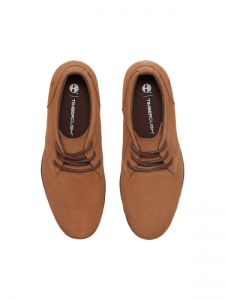 Ботинки мужские для прогулок Timberland BrittonTB0A6CAAEIZ