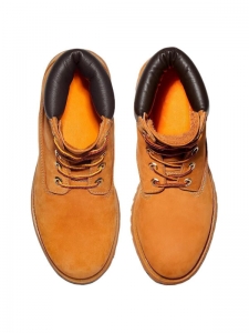 Timberland PREMIUM Ankle Boots Women's Brown110361713