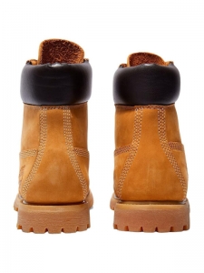 Timberland PREMIUM Ankle Boots Women's Brown110361713