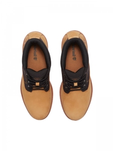 Ботинки ankle мужские для прогулок Timberland PREMIUMTB0A431H754