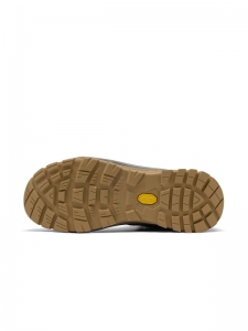 Ботинки короткие мужские Dickies 40244M50LXS18C马鹿棕