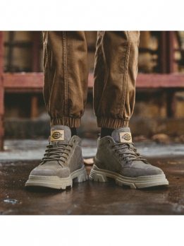 Ботинки мужские для активного отдыха Dickies 40214M50LXS20M咖啡