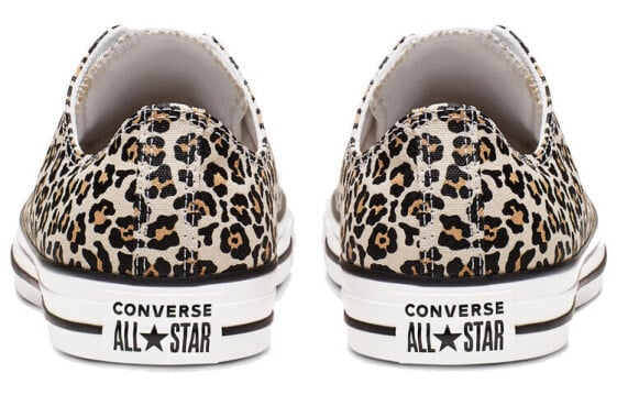Кеды Chuck Taylor All Star Converse Low 'Leopard' 166260F