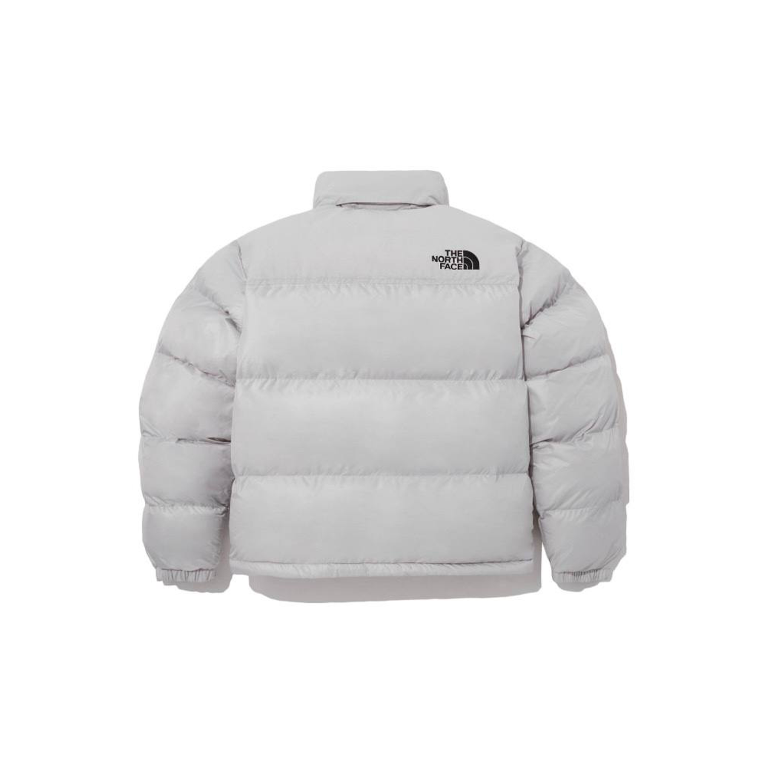 Куртка THE NORTH FACE FW23 ON BALL (NJ3NP55C)